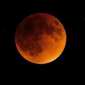 Meet your Posher, Astrid